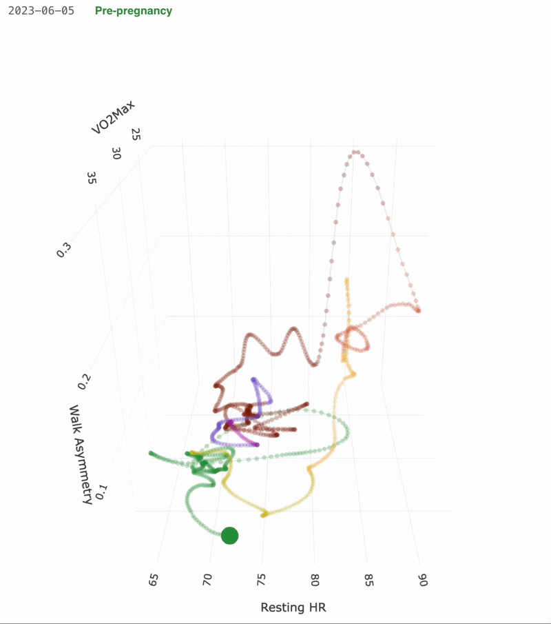 Pregnancy state space from Apple Watch data