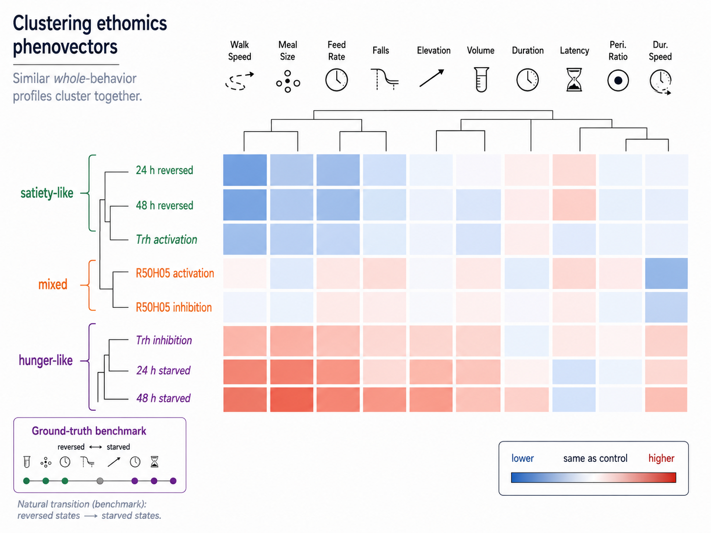 Clustering ethomics phenovectors — similar whole-behavior profiles cluster together