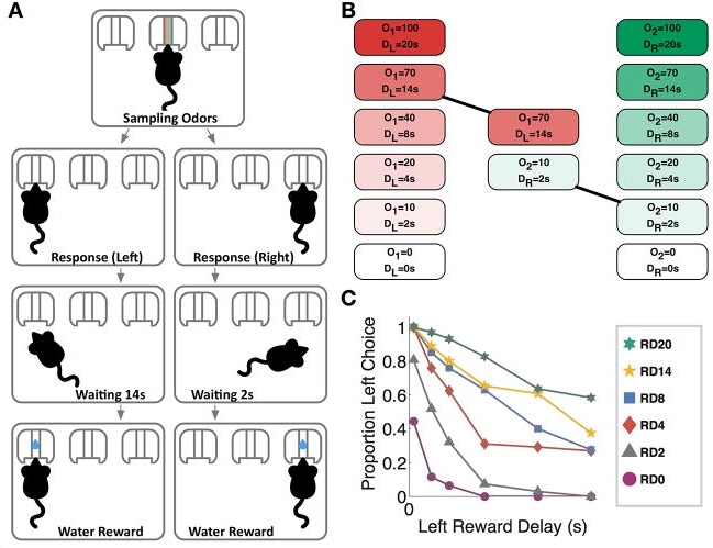 Xu et al. 2017 Figure 1 — Current Biology